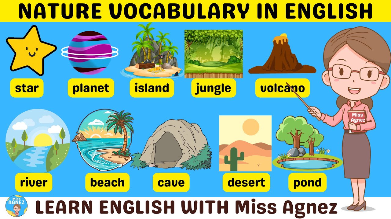35+ Nature and Environment Vocabulary With Examples and Pictures | Fun English with Miss Agnez