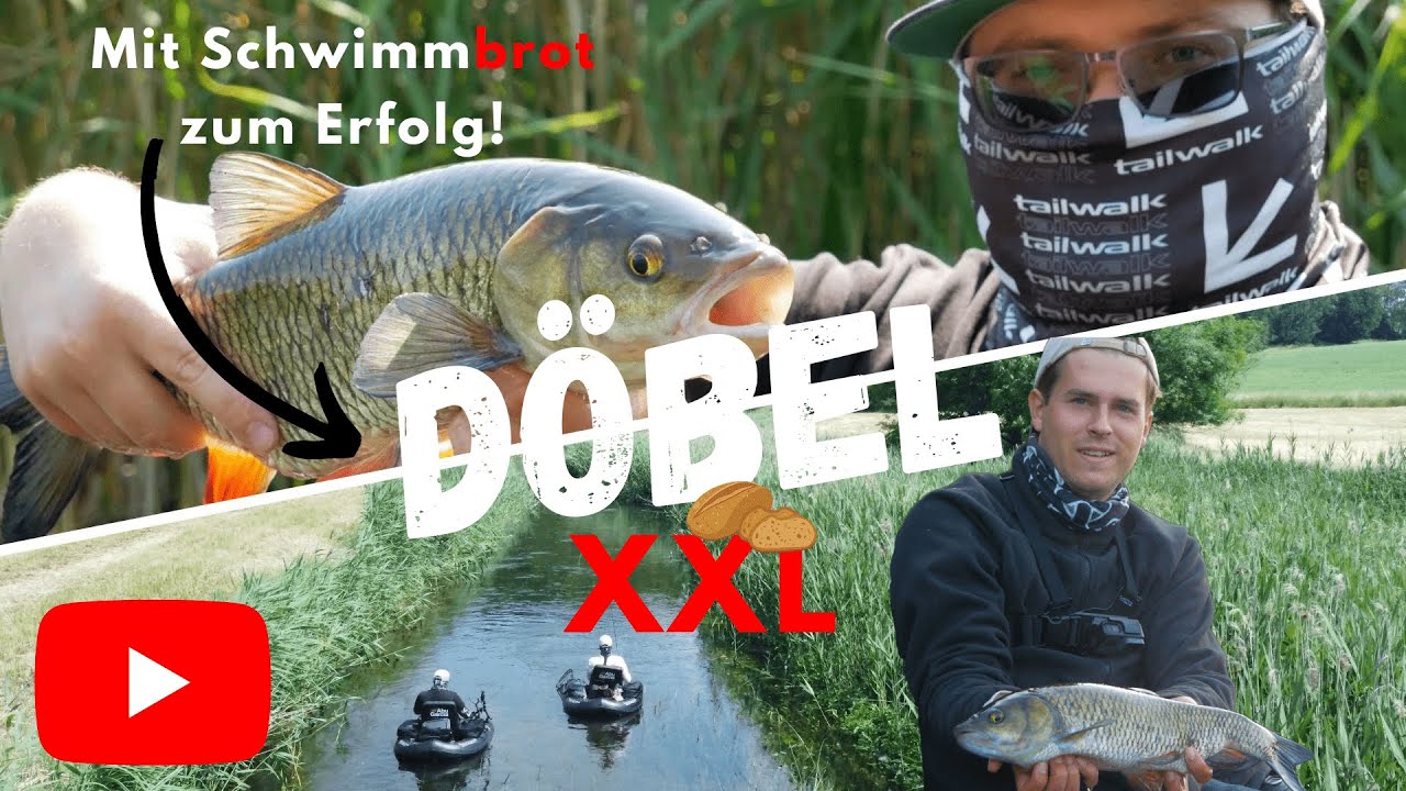 So fängst auch du XXL Döbel ! Mit Schwimmbrot zum Erfolg auf Döbel / Alet / Aitel #fishing #angeln