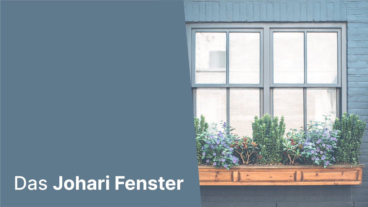 Das Johari Fenster