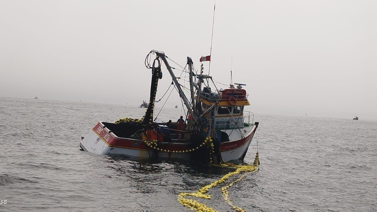 Pesca artesanal de Bonito(Sarda) Callao - Perú