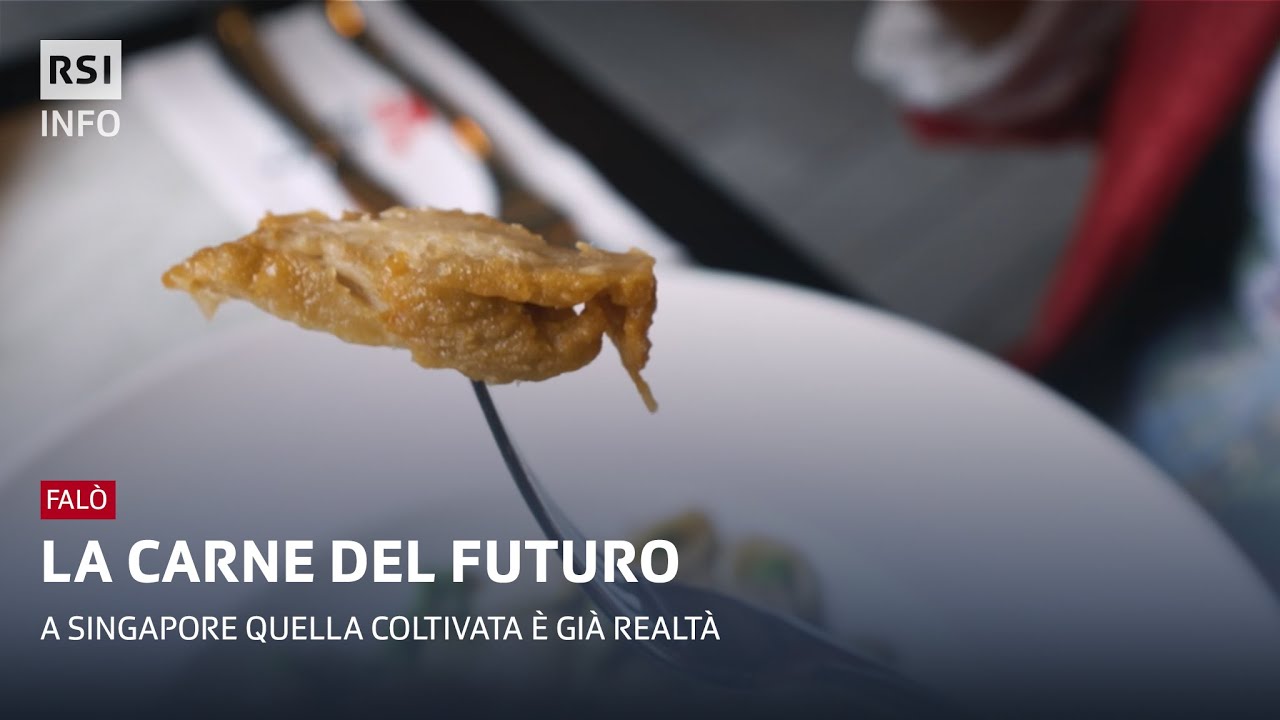 La carne del futuro | Falò | RSI Info
