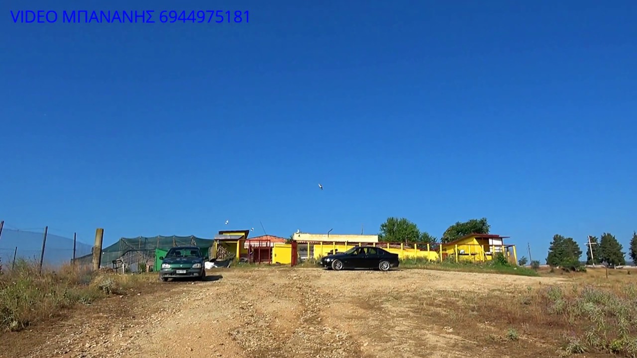 ΜΠΑΡΓΙΑΝΝΗΣ ΠΟΥΛΙΑ 2019 ΝΟ 2
