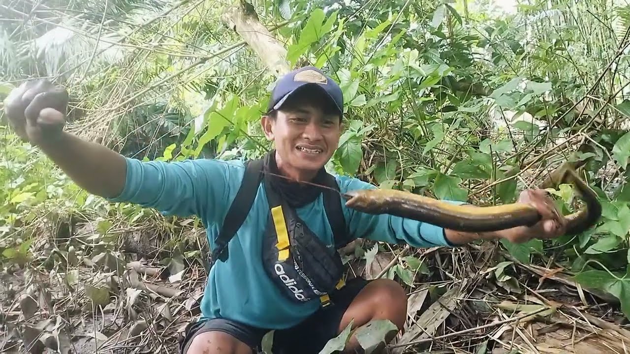 Sampai nongol gitu,ini belut babon mau buka puasa apa😁😁😁#LARENGUREKJEMBER