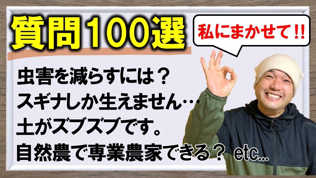 【お悩み解決】視聴者さんからの質問にとにかく答え続ける