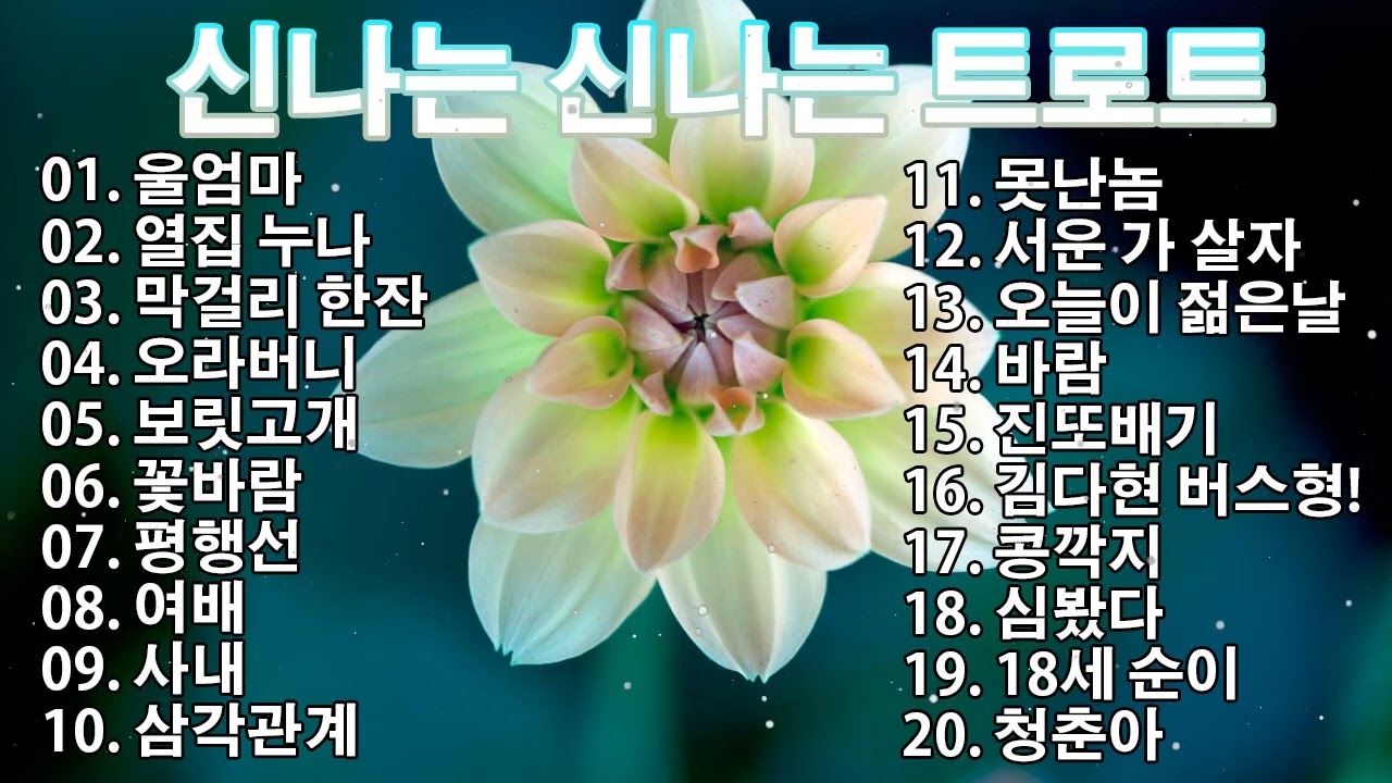 신나는 신나는 트로트 | KPOP [ TROT ] | PLAYLIST💟( 꽃길.상사화.여인의 눈물.회룡포.바람길...)💟
