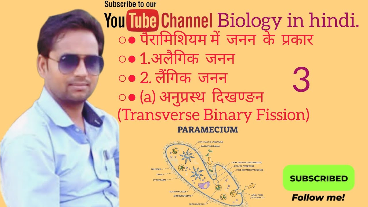 Reproduction in Paramecium |पैरामिशियम में जनन | Asexual Reproduction | अलैगिक जनन|@Biologyinhindi.