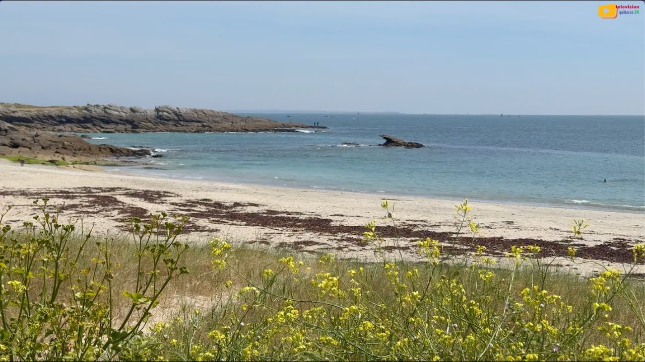 QUIBERON  🇲🇫 |  Camper's Paradise Beach   | Quiberon 24 TV