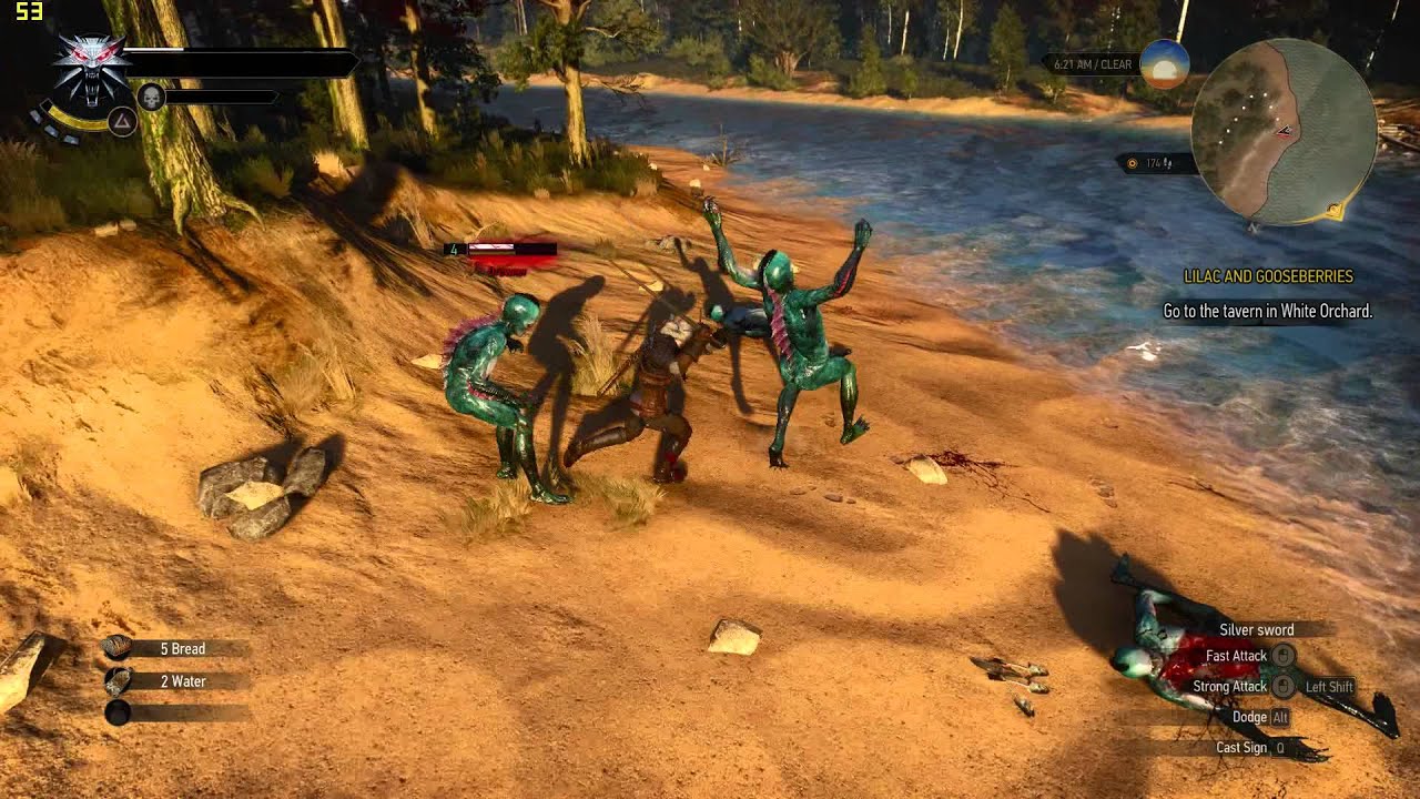 Witcher 3 GTX 970 Gameplay FPS Test