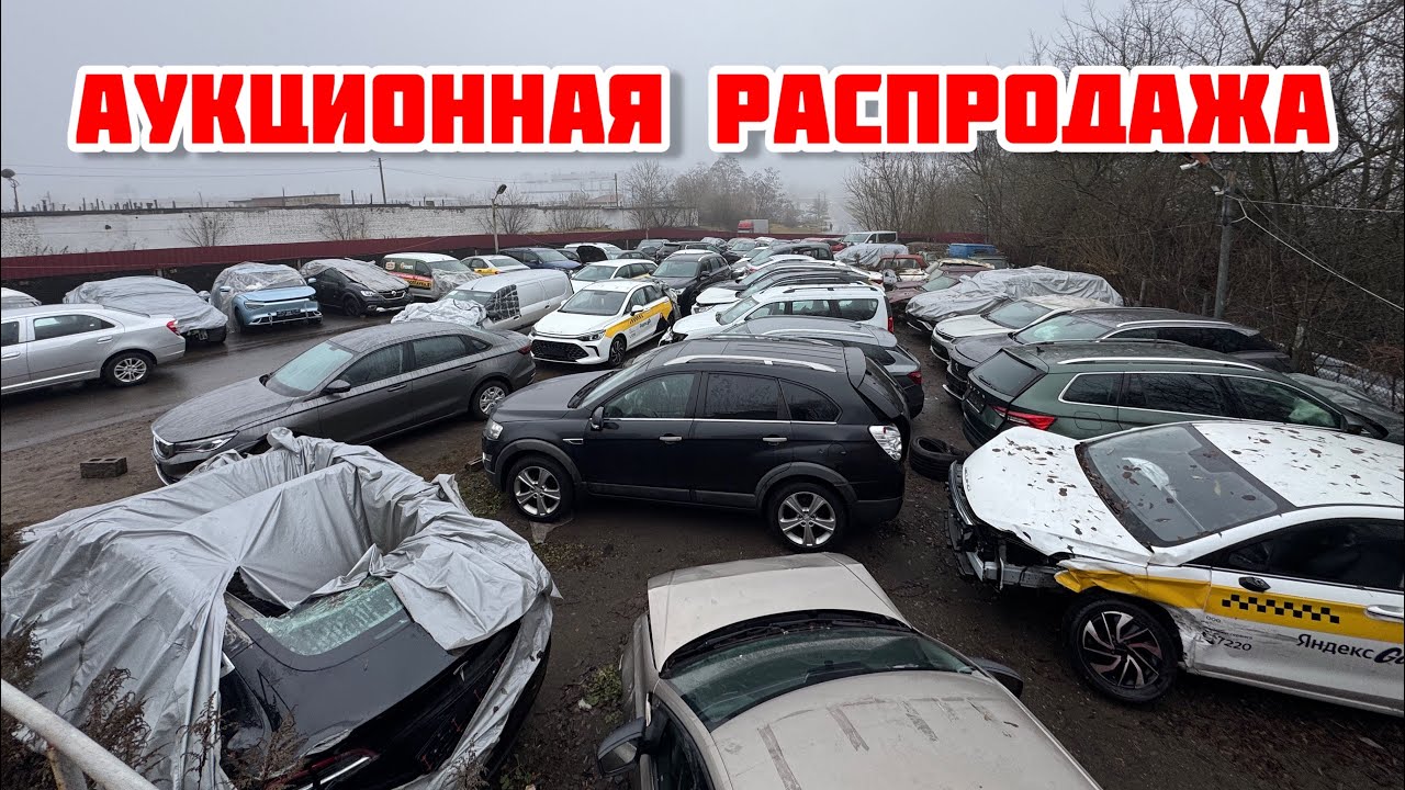 Авторынок самый большой аукцион страховых авто в Беларуси 