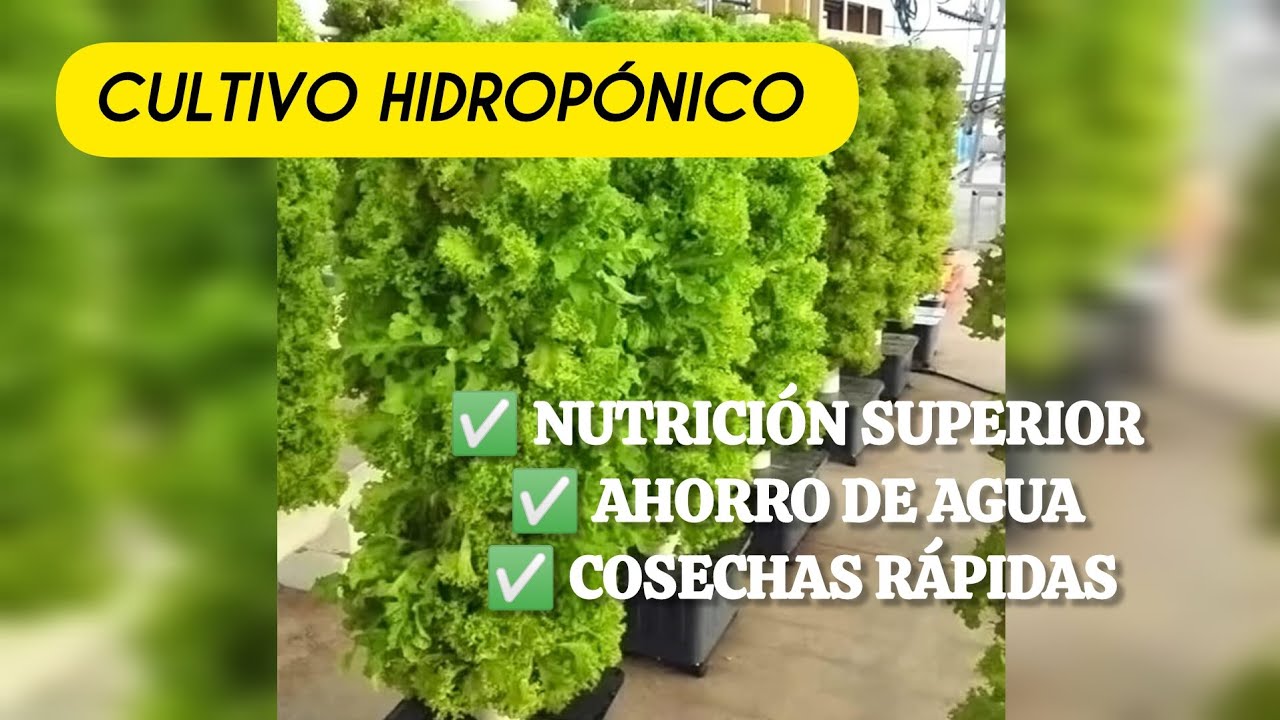 &iexcl;Cultiva tu propio jard&iacute;n en casa! Sistema hidrop&oacute;nico vertical de 25 agujeros para balcones y mas.