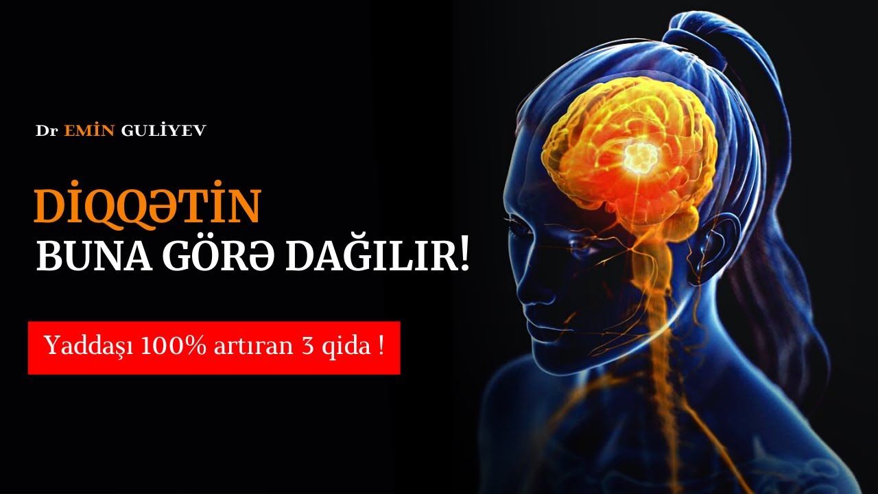 Beyin gücünü 10 DƏFƏ ARTIRAN - 3 SUPER QİDA. DİQQƏTİN YAYINMAYACAQ!