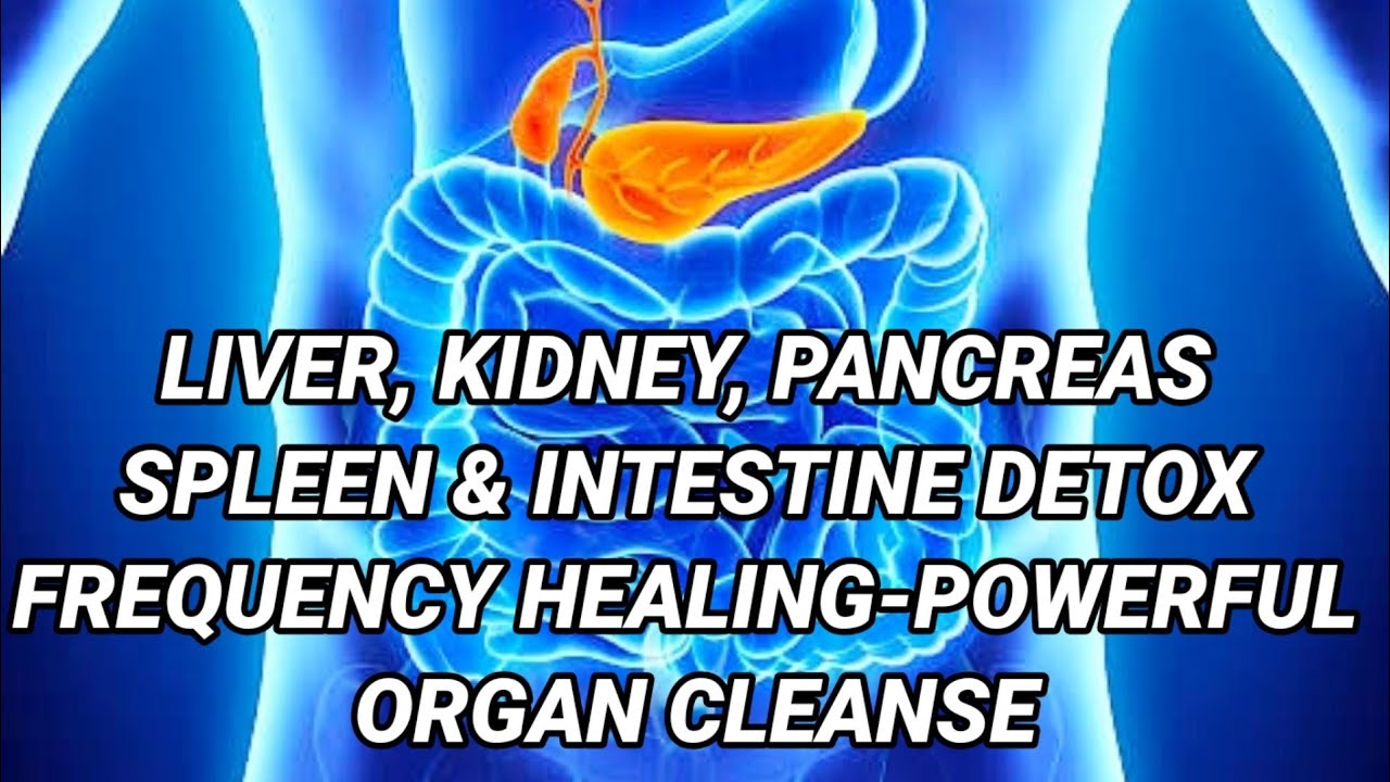 🎧Liver,Kidney,Pancreas,Spleen & Intestine Detox Frequency Healing-Extremely Powerful Organ Cleanse
