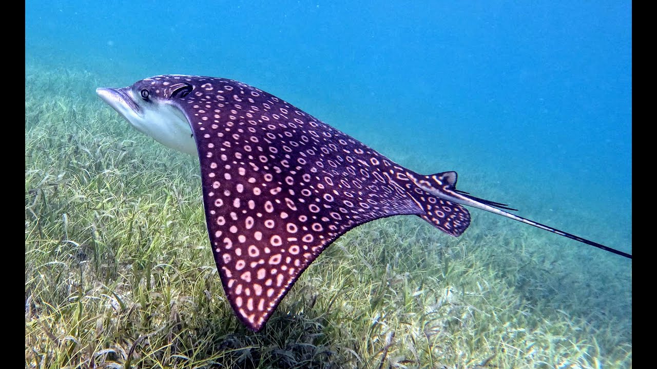 Placencia, Belize June 2024