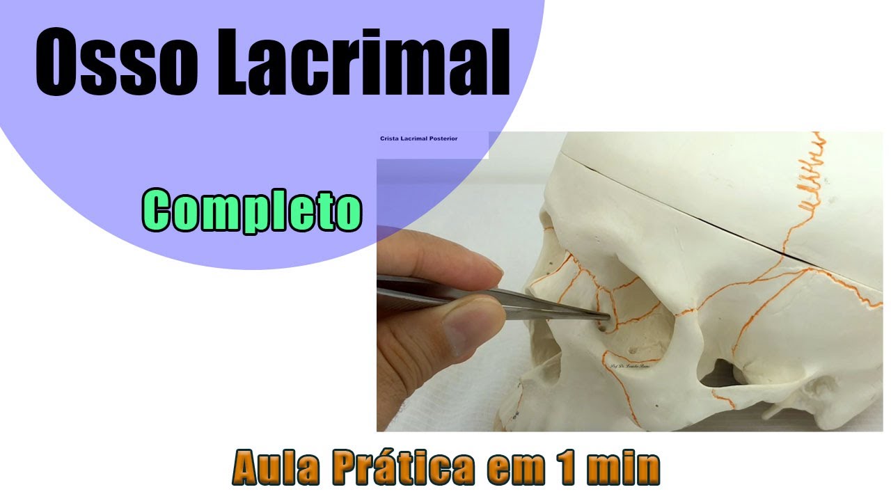 Osso Lacrimal - Prática Aula 2 - Anatomia - Anatomia Humana