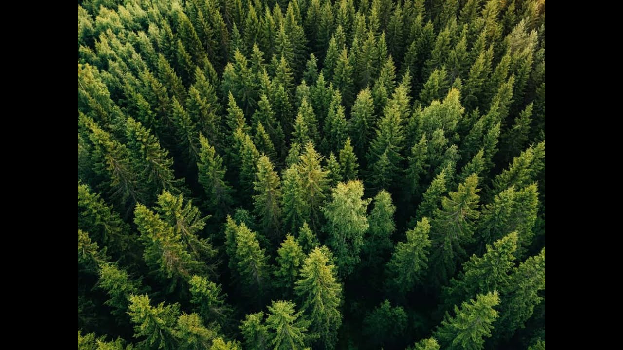 PNUD Chile y DIPRES | Medici&oacute;n del Gasto p&uacute;blico en Cambio Clim&aacute;tico (2023)