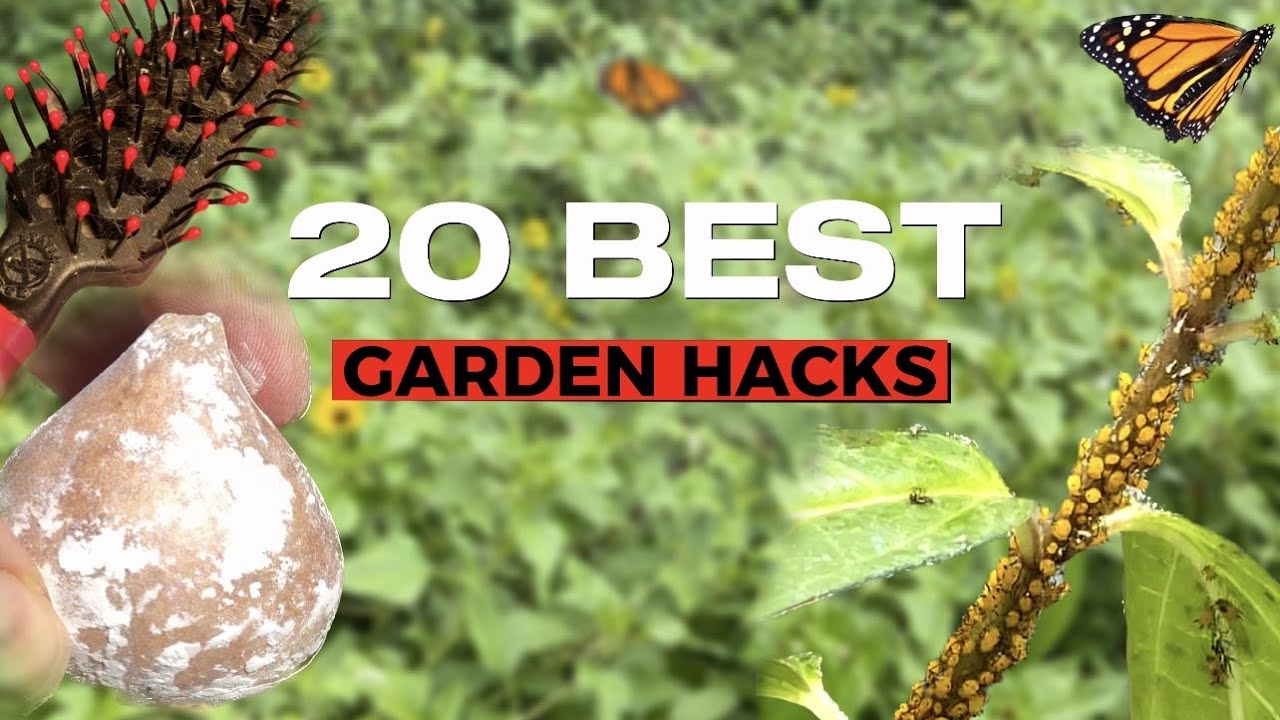 20 Best Plant Hacks Every Beginner Gardener Should Try