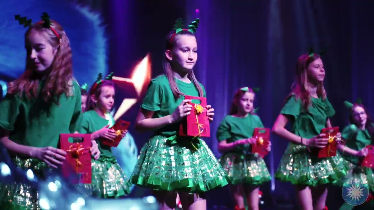 STARS auditorium - RDS Christmas show