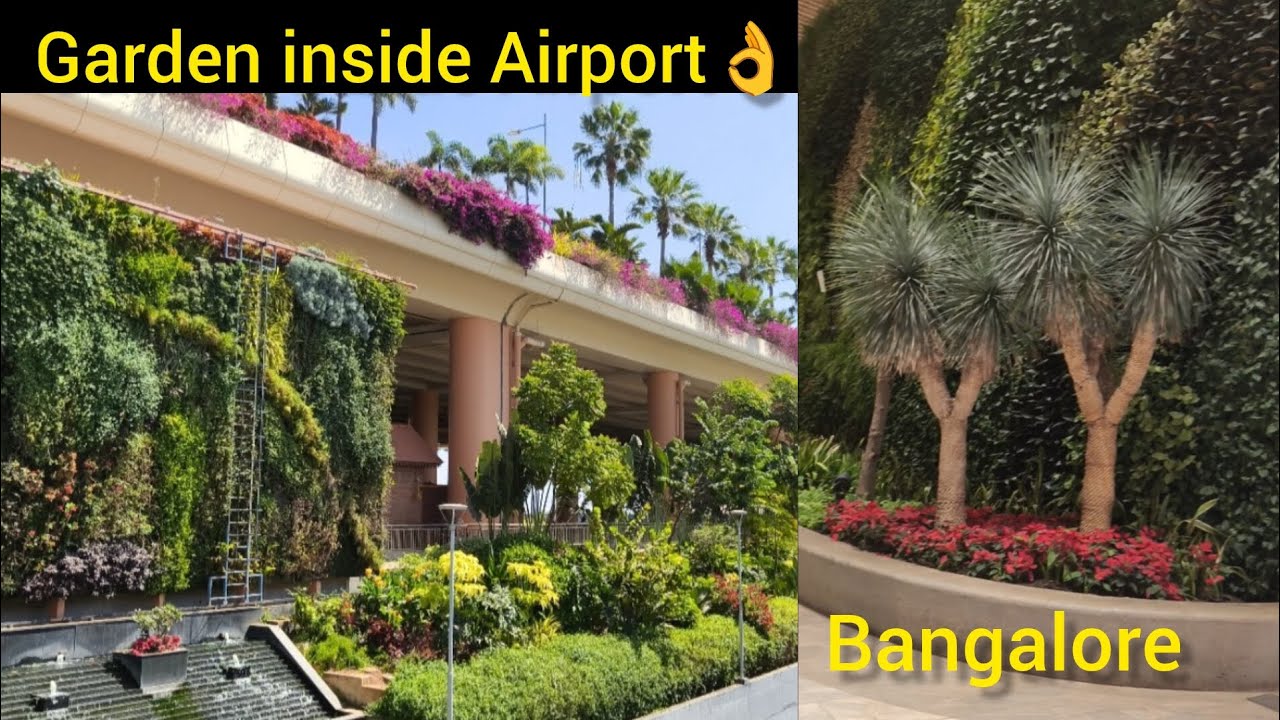 ഗാർഡൻ വിശേഷങ്ങൾ 🌻🌻|  Bangalore Airport ‼️