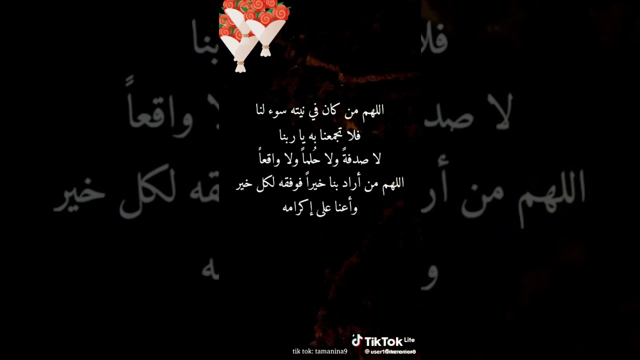doaa.mostajab