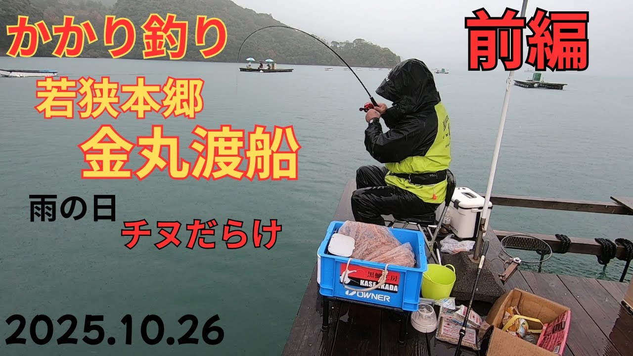 【かかり釣り】若狭本郷金丸渡船2025.10.26