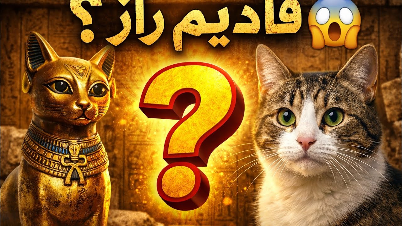 Billi Ko Qadeem Log Kyun Izzat Dete Thay? | Cats ki Qadeem History