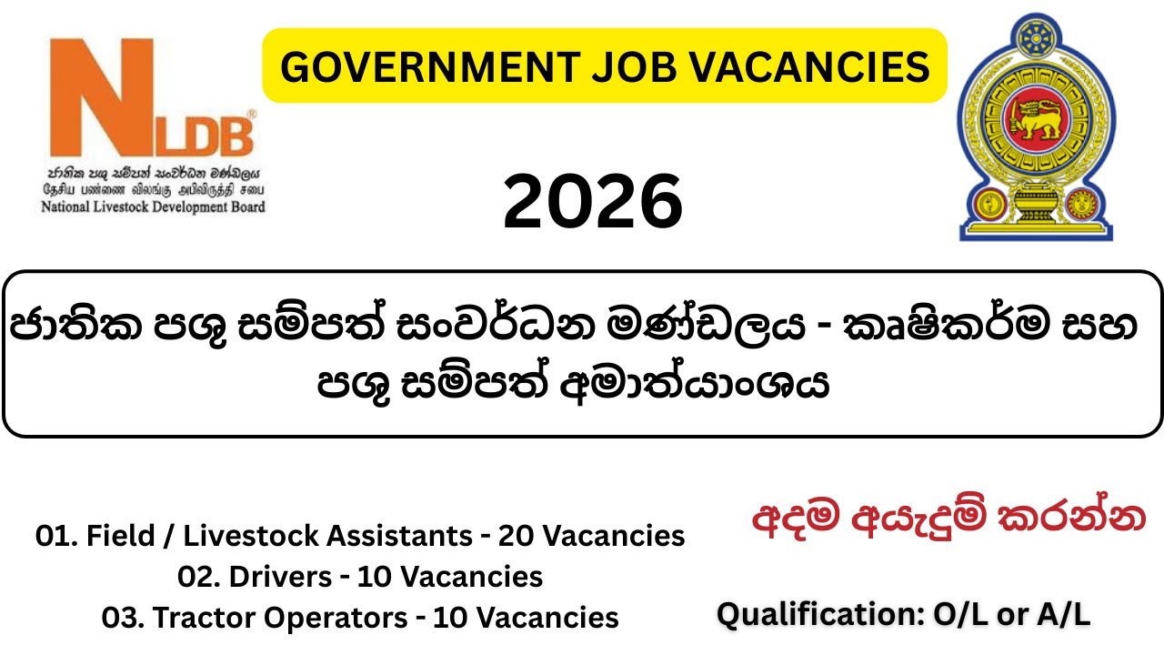 GOVERNMENT JOB VACANCIES / 2026 /  40 Vacancies