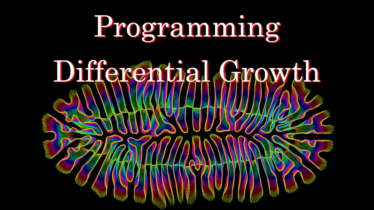 Programming Differential Growth