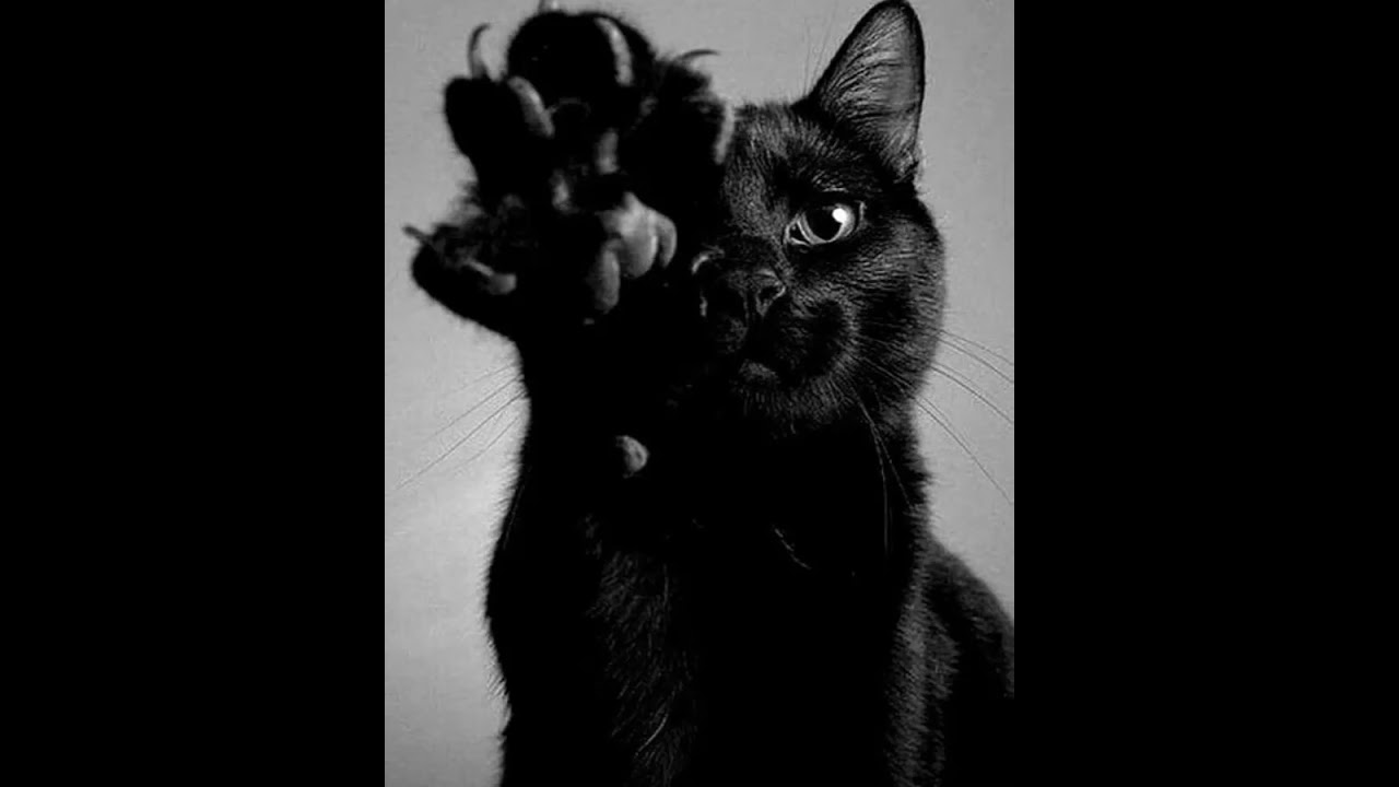 KEHROS-If you want...Think again  (Monolithic dark industrial techno)