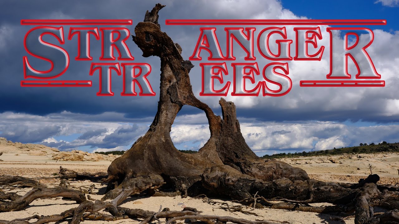 😯Stranger🌤️Trees🌳( Arboles Extraños )