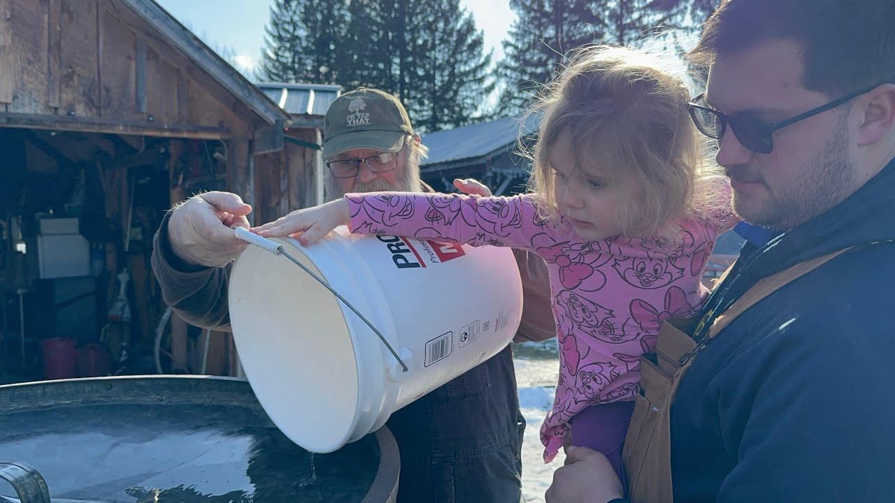 How Maple Syrup Is Made