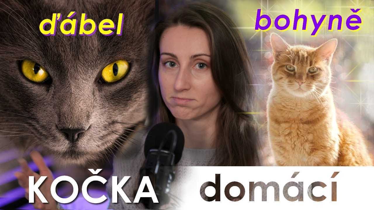 🔮 Uctívané božstvo, vtělení ďábla i vrnící léčitel 🐈‍⬛ | Kočka domácí 🐈