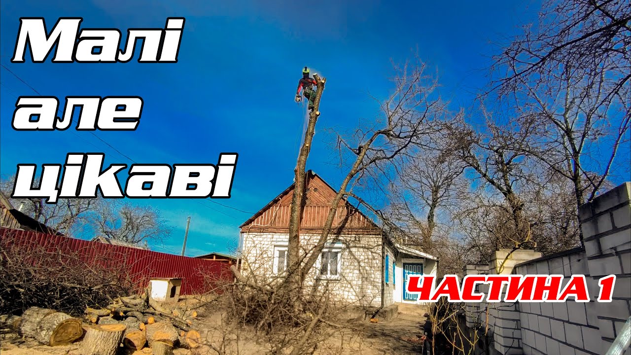 Ріжемо гнилий горіх та черешню