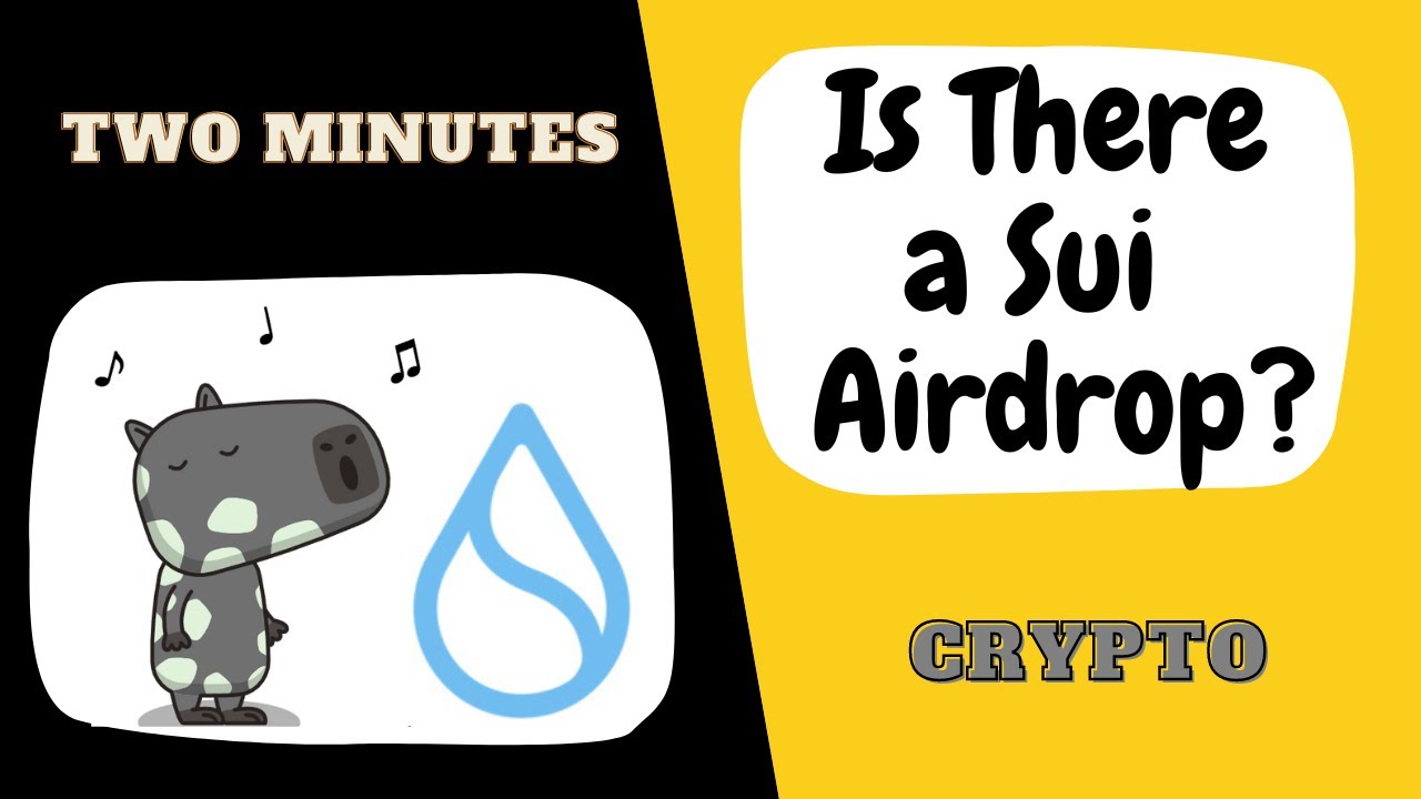 How to Get Sui Airdrop | Set up Sui Wallet | Mint Capys (NFTs)