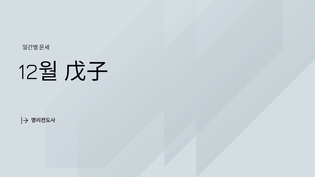 을사년 무자월 12월 일간별 운세