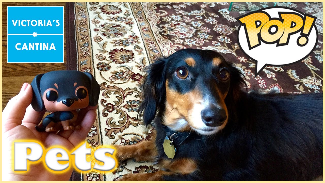 Funko Pop! Pets Dachshund Review