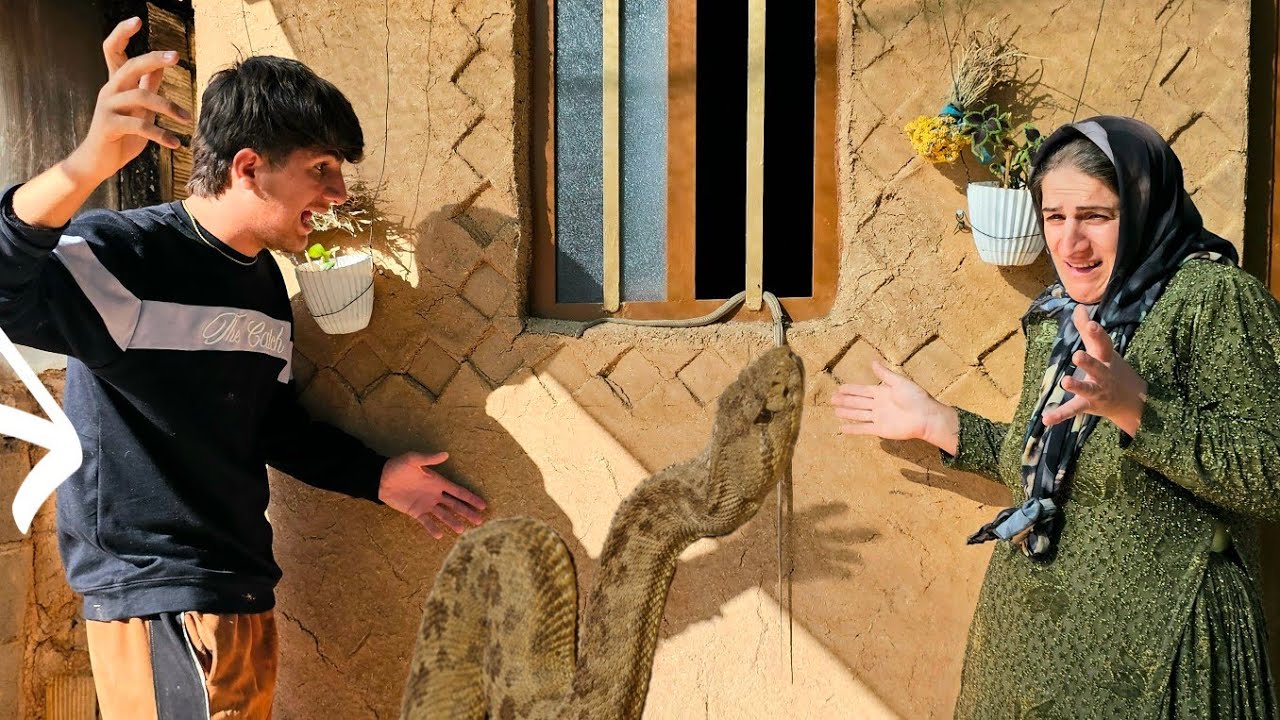 A poisonous snake entered the house; what happened next was shocking