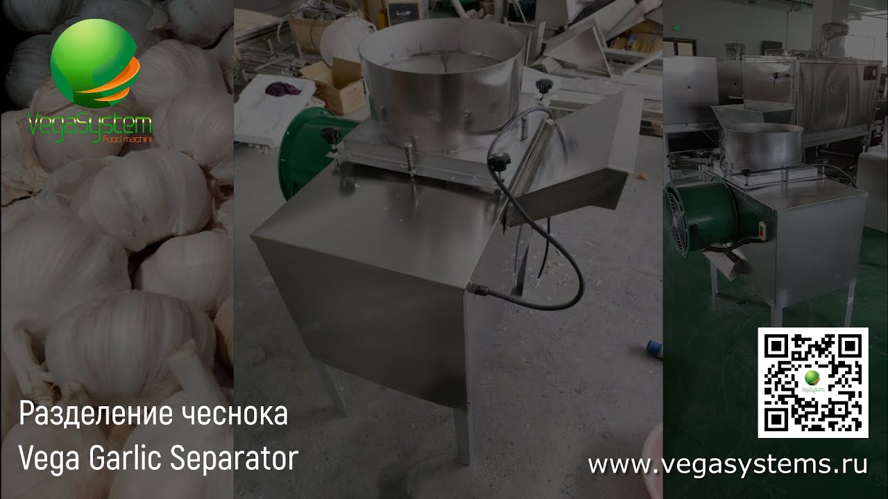 Машина для очистки чеснока от верхней шелухи и разделения на зубчики Vega Garlic Separator