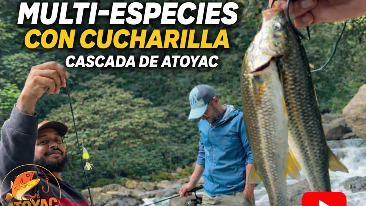 PESCA MULTI-ESPECIE | CASCADA DE ATOYAC
