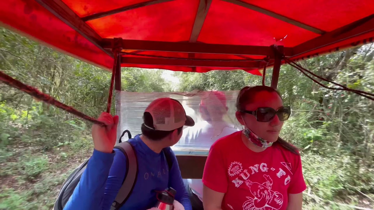 Cenotes X&rsquo;Tohil