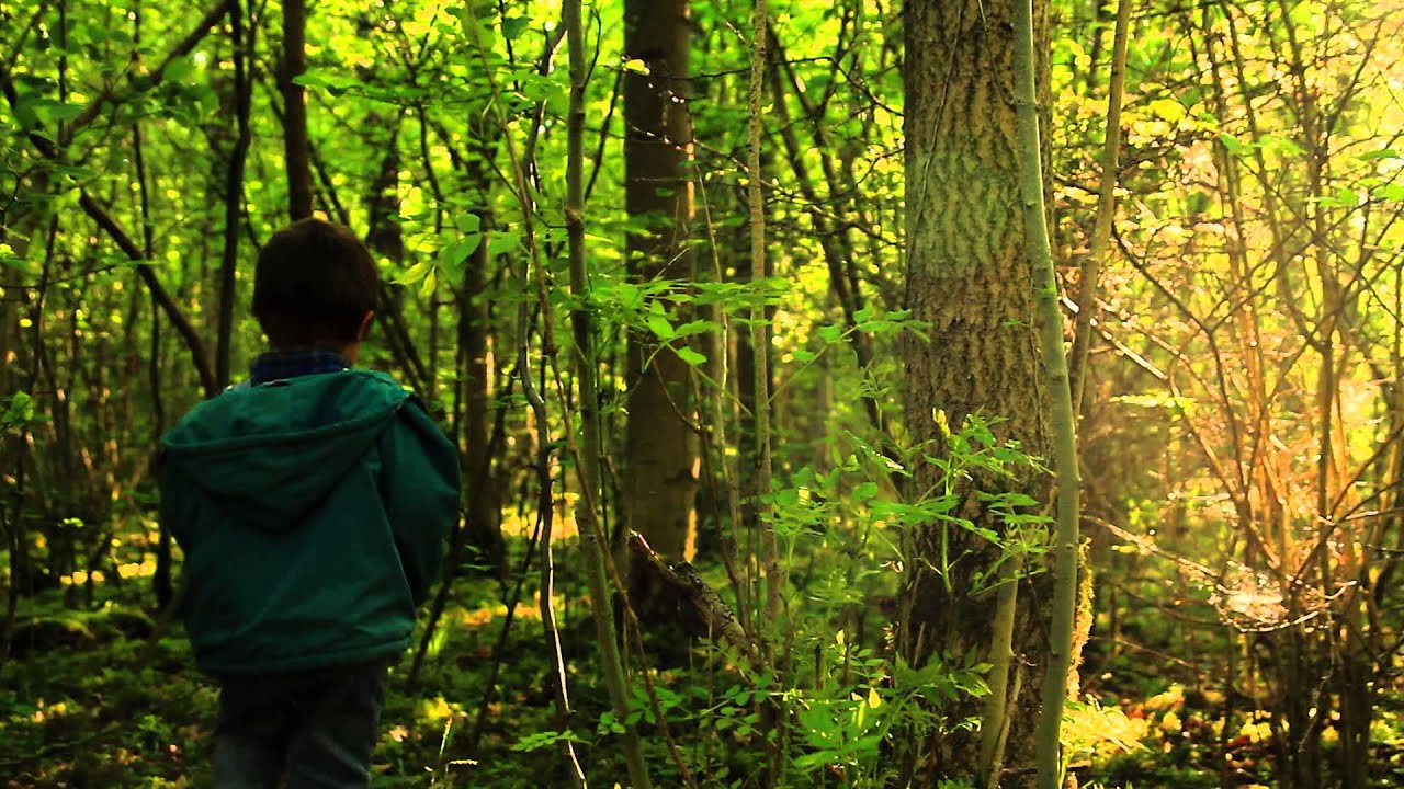 Ma Forêt - Short Film by Sebastien Pins (english subtitled version)