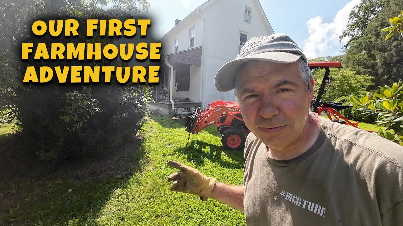 I hope this doesn't break my tractor. Kubota B2601 pulling out boxwood shrubs. Video #155