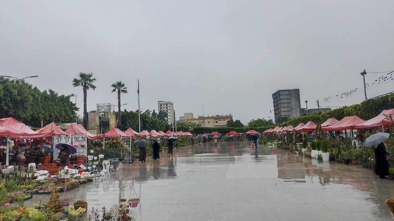 جولة في معرض النباتات لمدينة البليدة مع سقوط أمطار البركة ( بث مباشر)