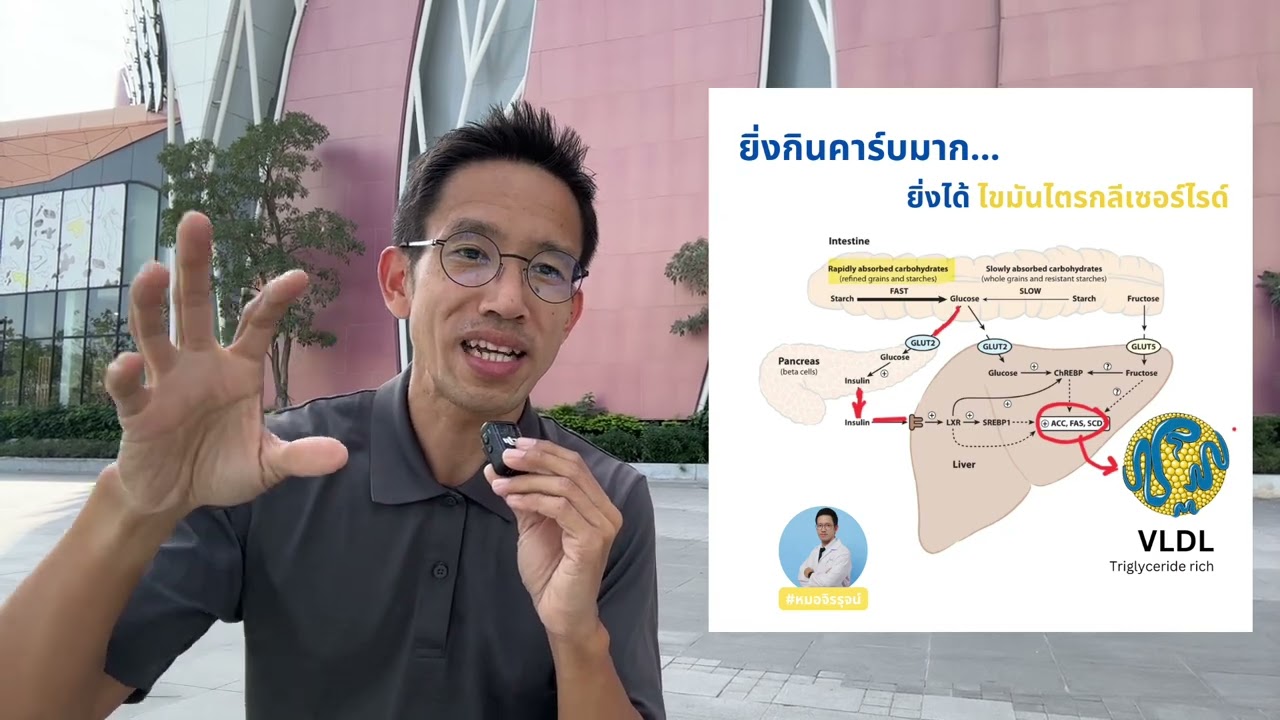 ไตรกลีเซอร์ไรด์ มาจากคาร์บ