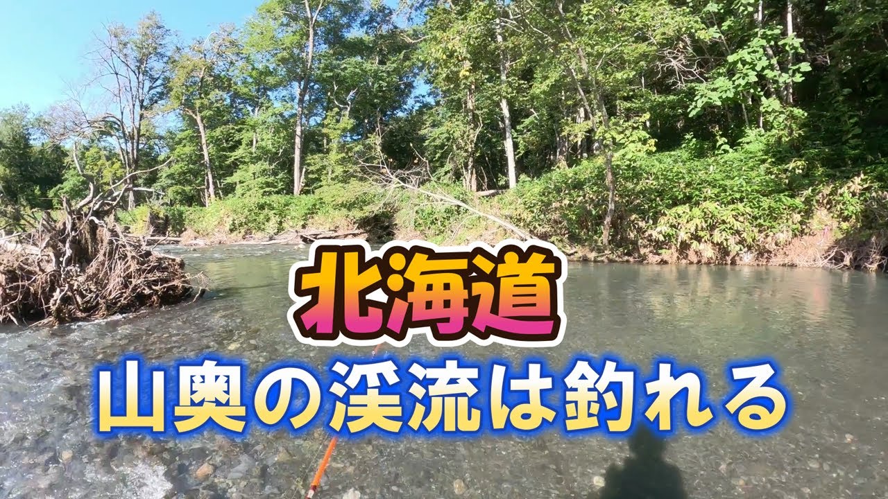 北海道【渓流ルア－】山奥の渓流は釣れる・前半