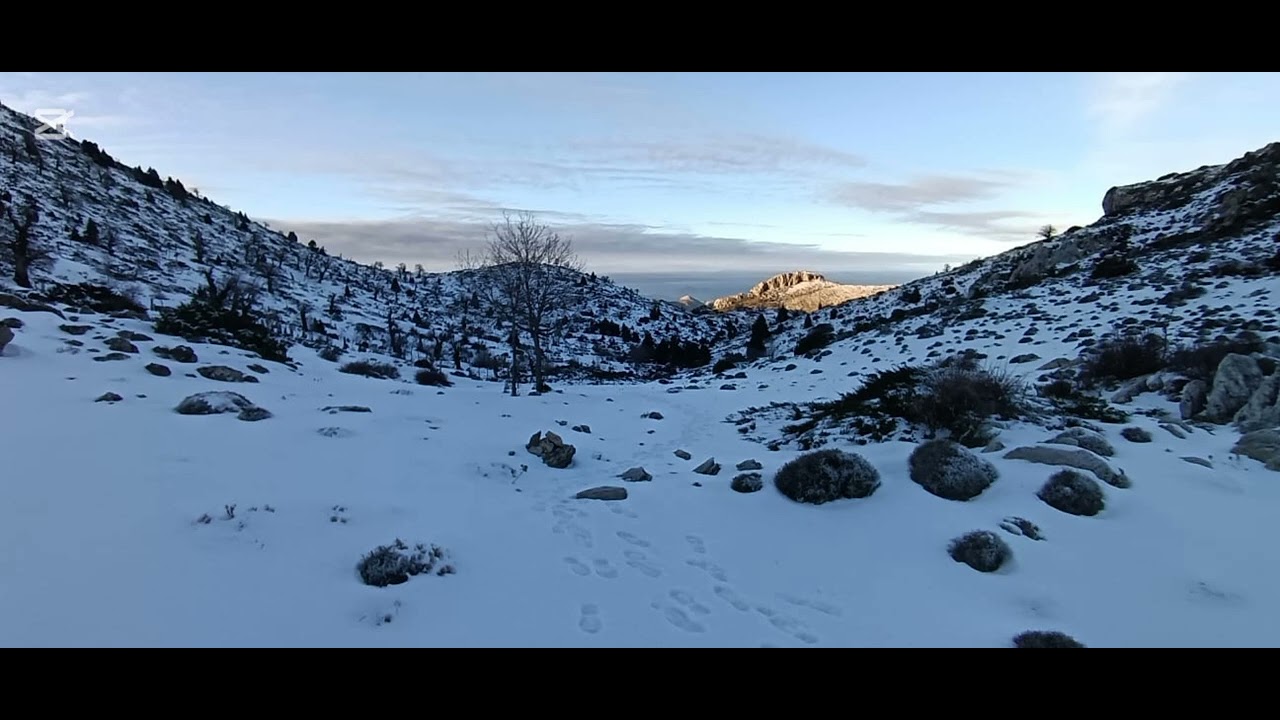 Élite 