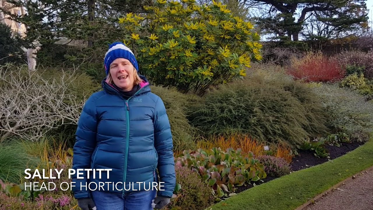 A Wellness Wander - Winter Garden - 2 December 2020