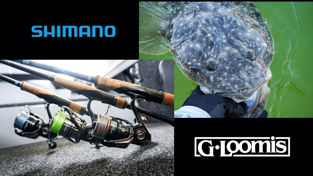 All my fishing gear for 2026 (Rods, reels & line)