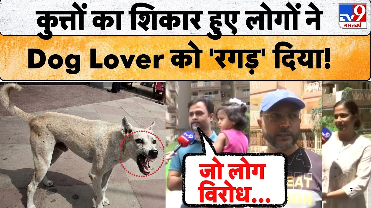 Delhi NCR Dog Stray Dog News: Dog Bite का शिकार हुए पीड़ितों ने बताई अपनी राय! | Supreme Court News