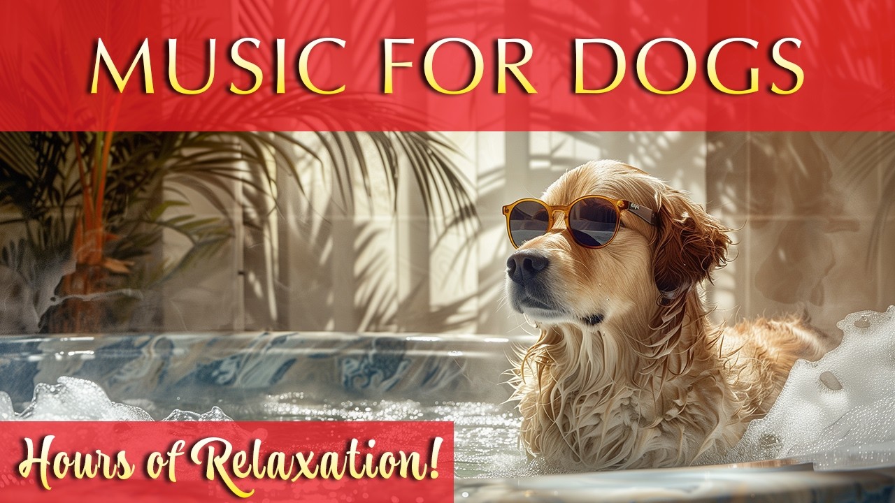 Spa-like Experience&nbsp;with Relaxing Music for Dogs 🐶