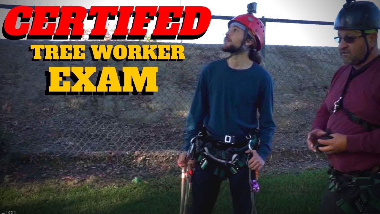 TAKING THE PRACTICE CERTIFIED TREE WORKER EXAM (Old Version)